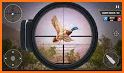 Birds Hunter:Jungle shooting games free related image