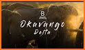 Botswana Wildlife Guide related image