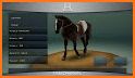 Racing Horse Champion 3D related image