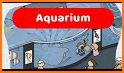 Aquarium Scavenger Hunt related image