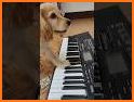 Cute Puppy White Keyboard Background related image
