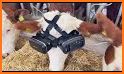 Farm Animals & Pets VR/AR Game related image