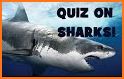 Animal Trivia Quiz - Guess the Animal Game related image