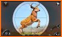 Deadly Animal Hunting Game: Sniper 3D Shooting related image