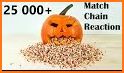 Pumpkin Match related image
