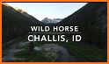 Salmon-Challis National Forest related image