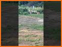 Snip them All related image