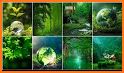 Nature Wallpaper - Green nature hd wallpaper related image