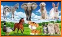 Animals Around Us related image