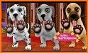 DogWorld - Puppies related image