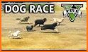 Dog Racing Action Game related image