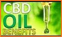 CBD Oil Health Benefits & Uses related image
