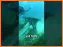 Anchor Sentry related image