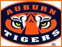 Auburn Tigers Fight Songs related image