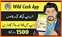 Wild Cash | Quiz to Earn related image