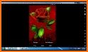 3D Red Rose Parallax Theme related image