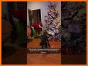 Live Call The Grinch related image