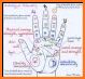Palm Reading Insights -- Palmistry Palm Reader App related image