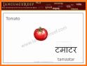 Hindi Flashcards for Kids related image