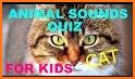 Guess The Animal Quiz Games - Animal Trivia Games related image