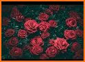 Flowers and roses wallpapers related image