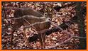 Deer Hunters MoonGuide 3.0 related image