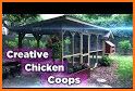 Chicken Coop Design related image