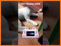 Pet Translator - Cat, Dog & Animal related image