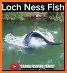RichMan Fishing related image