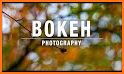 Bokeh Photo related image