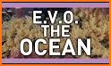 Ocean Evo related image