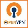 OpenVPN Servers related image