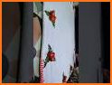 Baby Boy Photo Suit related image
