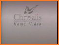 Chrysalis Home related image