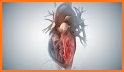 Cardiology-Animated Dictionary related image
