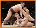 Sumo Techniques related image