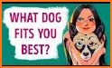 What Type Of Dog Are You? related image