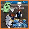 Blox Fruits Aid related image