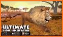 Ultimate Lion Family Simulator 2019 related image