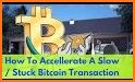 BTC Accelerator Top Edition related image
