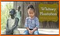 Whitney Plantation related image