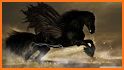Black Horse Wallpapers related image