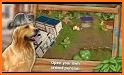 Pet Animal Hotel Clean Up related image