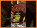 Caves and Dinosaurs related image