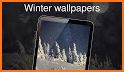Winter wallpapers 4K related image