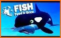 Feed And Grow ORCA Fish related image