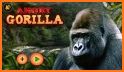 Angry Gorilla Family Simulator related image