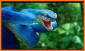 Snake Bonkers - Color Snake related image