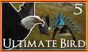 Ultimate Bird Simulator related image