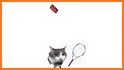 Cat Tennis Champion related image
